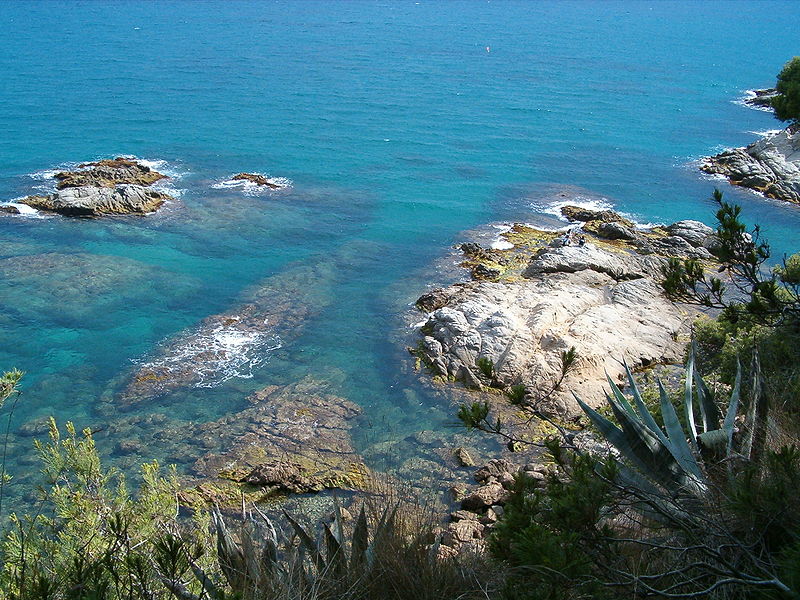 Vous souhaitez vous rendre à Costa Brava espagne ?