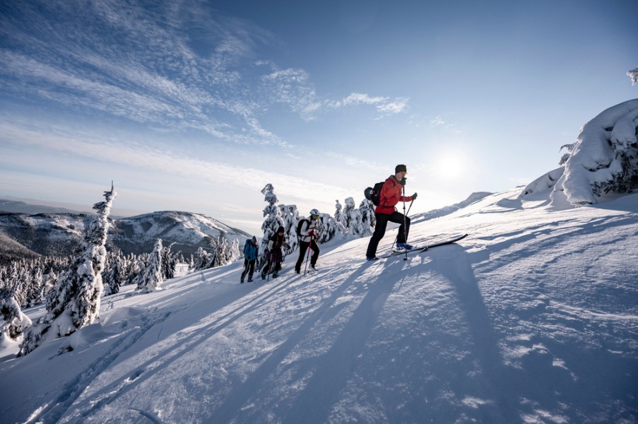 Ski de fond alternatif : comment pratiquer ce sport ?